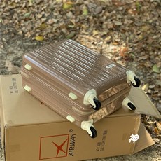 만다리나덕투명캐리어커버