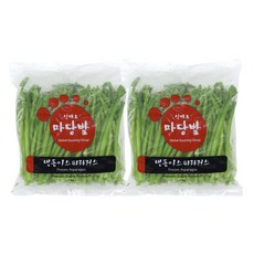 쉽쿡 아스파라거스 1kg 1+1, 2