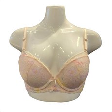 sbrd303 TOP01