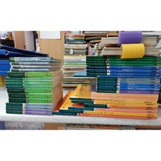 프뢰벨다중지능