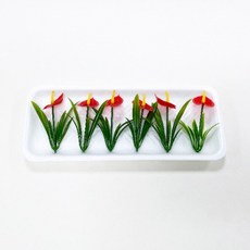 안스리움실버브러쉬