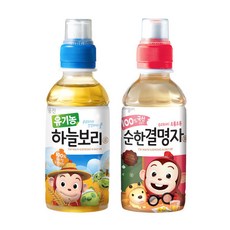 순한결명자