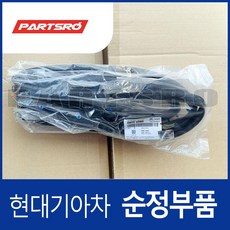 뒷문짝 웨더스트립(고무몰딩) 조수석쪽 (83140D3000) 투싼 더뉴 TL/올뉴 TL, 1개