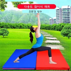 라비로스 체육관매트 요가매트 놀이방매트 스포츠매트 착지매트(비싼 2단은 가죽재질), 보라