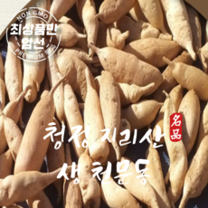 국내산 지리산 청정 생 천문동 특품, 1박스, 1kg(생 천문동)