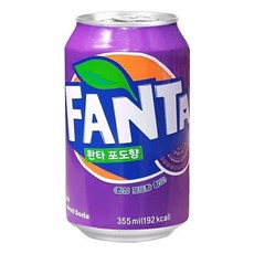 MC_EB 환타 포도맛 355ml 24캔 6F_08 운동회 여름 냉수 체육대회 소풍