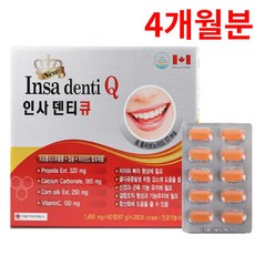 캐나다 직수입 인사 덴티큐, 120정, 1개
