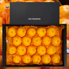 [순수마켓](프리미엄 선물세트)제주 천혜향 1.5kg, (소과)(10-12과 내외)