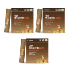 웰스터 국산 맥주효모환 4000 4.2g x 30포 x 3박스, 126g, 3개