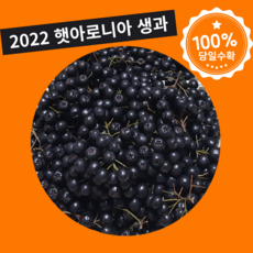 생아로니아3kg