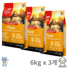 오리젠 독 퍼피 강아지 사료, 18kg, 1개, 칠면조