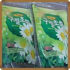 구절초환(국산)300g 야생화