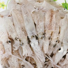 국내산 남해안 꼴뚜기(호래기) 1kg 숙회용, 1박스