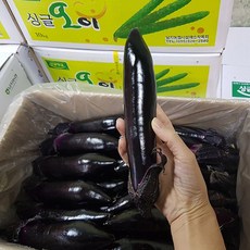 //상품명