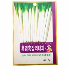 할인샵q23PzE23 (set)흑명흑장외대파 씨앗(2g) 10개 대파키우기 파키우기 대패재배 화분 모종