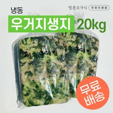 sybtu2-plp108ea