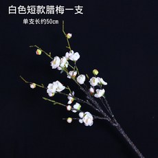 815029aec3310db5b20b9d25a5a5fb2c310b266b6f1e293bc5121651d3fc.jpg