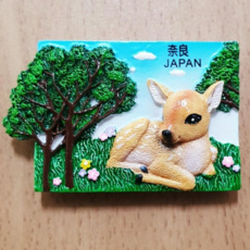 알레그로호이안