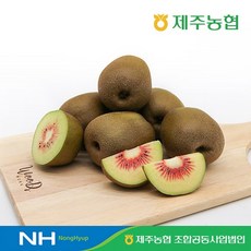 농협키위 2023 제주농협 레드 키위 2.1kg, 1