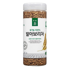 6개월아기보리차