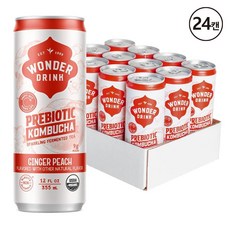 Wonder Drink 원더드링크 프리바이오틱 콤부차 스파클링 진저 피치 음료