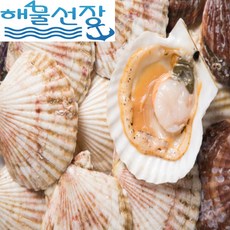 [해물선장] 싱싱한 대왕 참 가리비 1kg