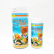 트로피칼야자수분수