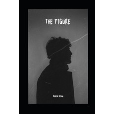 (영문도서) The Figure: Revelations in the Dark Paperback, Independently Published, English, 9798346612537