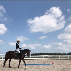 유럽식 정통승마레슨 체험, 1개