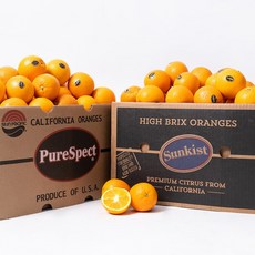 과일꾼 블랙라벨 고당도 오렌지, 5.7kg (중과 30과), 1개