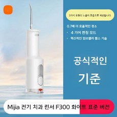 샤오미 미지아 MEO701, 화이트 구강 세정기