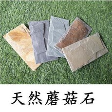 b0286c0b2e2e5f38803438c95e7c7db3b0469a605e27a957c7b0b9009736.jpeg