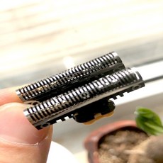 브라운5760