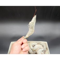 페루산흰다리새우50/60 (2kg) / 페루흰다리새우 흰다리새우 냉동새우 왕새우 왕대하구이 왕새우튀김 에콰도르새우 페루새우 시장새우 새우튀김 새우소금구이 통새우 대하 5060새우, 2kg, 1개