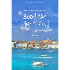 스드메300만원