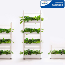 수경재배기 팜팜 야채 채소 식물 재배기 삼성풀스펙트럼 LED 국산 제품, 상단 B형(LED조명미포함), 1개