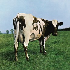 (수입CD) Pink Floyd - Atom Heart Mother (Remastered) (Gatefold), 단품 - adoylp