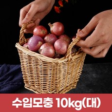 수입모충 샬롯 작은양파10kg (큰사이즈), 1개