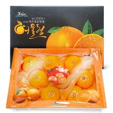 제주귤택배