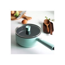 디온리멀티쿠커