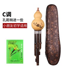 초등학생소금연주