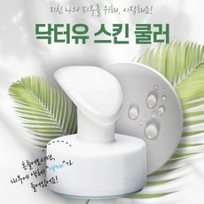 스킨쿨러 쿨링마사지기 페이스 냉찜질, 단품, 단품