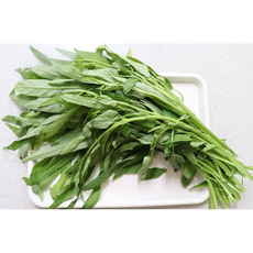 [텅 빈 줄기 속의 아삭함]국산 공심채 400g 1kg 당일수확 morningglory 모닝글로리 베트남채소 쌈채소 400g