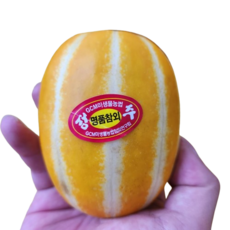 [오가네] 겨울 성주 꿀 참외, 1박스, 5kg