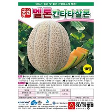 //상품명