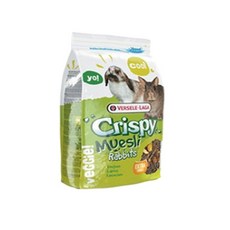 제네시스알파파