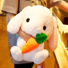 귀여운 애착 토끼인형 당근 인형6종류 부드러운인형, 4, 40cm