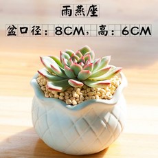 파리바게뜨케이크배달