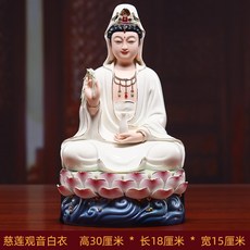 어좌촬영