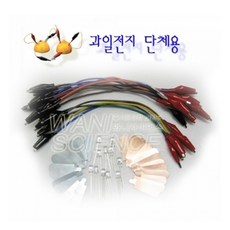 과일전지 만들기(단체용-10인용), 10명1세트